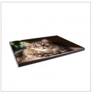 Vegg panel med rette kanter thumbnail