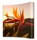 Pop-up Magnet uten fotopanel - Straight thumbnail